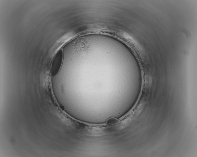 X0000114211361200911061436