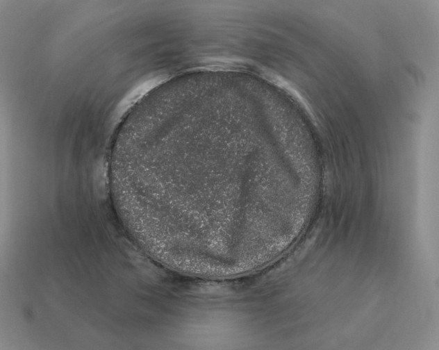 X0000114211362200911061436