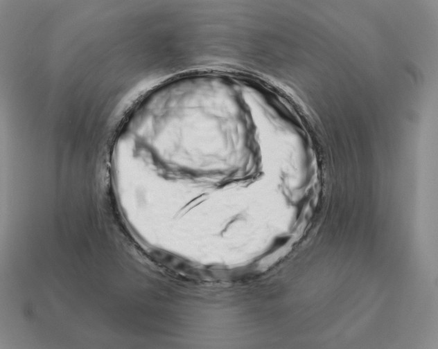 X0000114211363200911061436