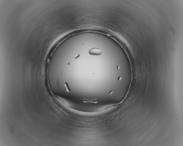 X0000114211364200911061436