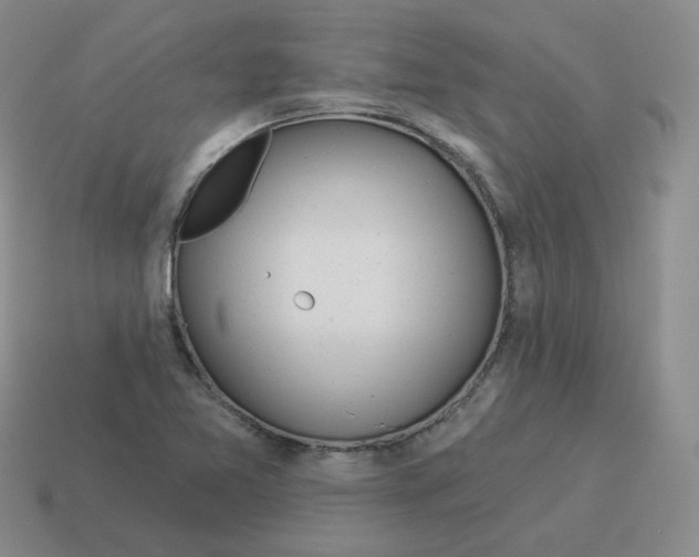 X0000114211365200911061436