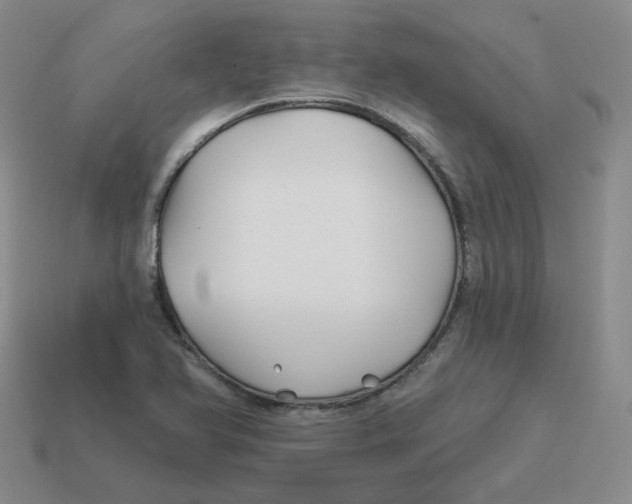 X0000114211366200911061436