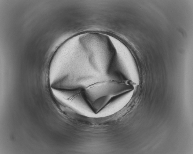 X0000114211367200911061436