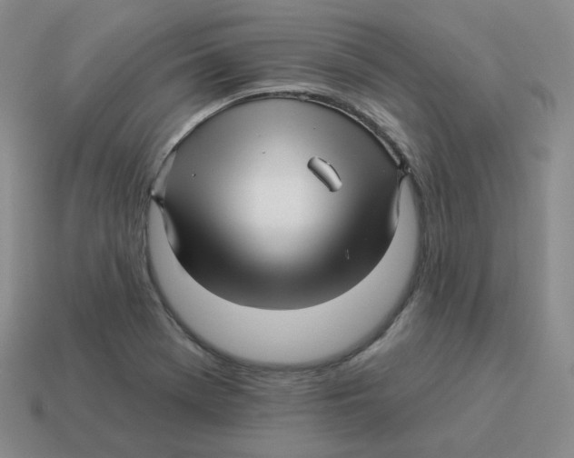 X0000114211369200911061436