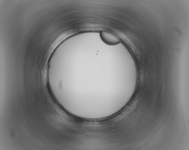 X0000114211370200911061436