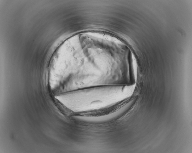 X0000114211371200911061436