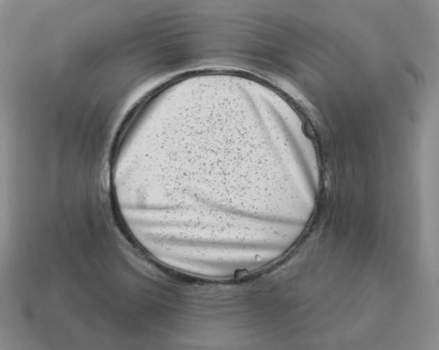 X0000114211372200911061436