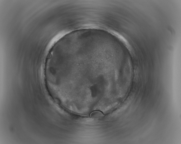 X0000114211373200911061436