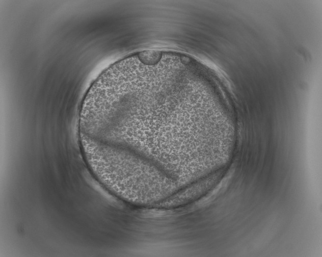 X0000114211374200911061436