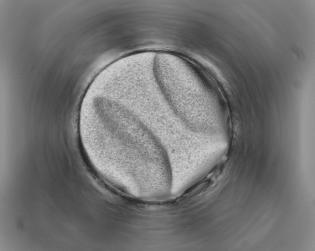 X0000114211375200911061436