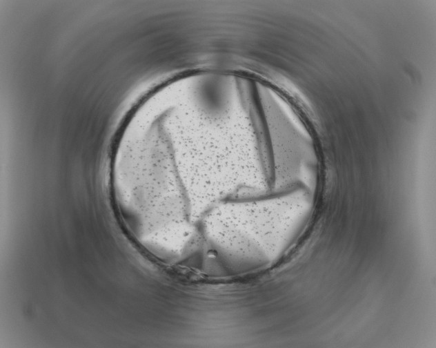 X0000114211376200911061436