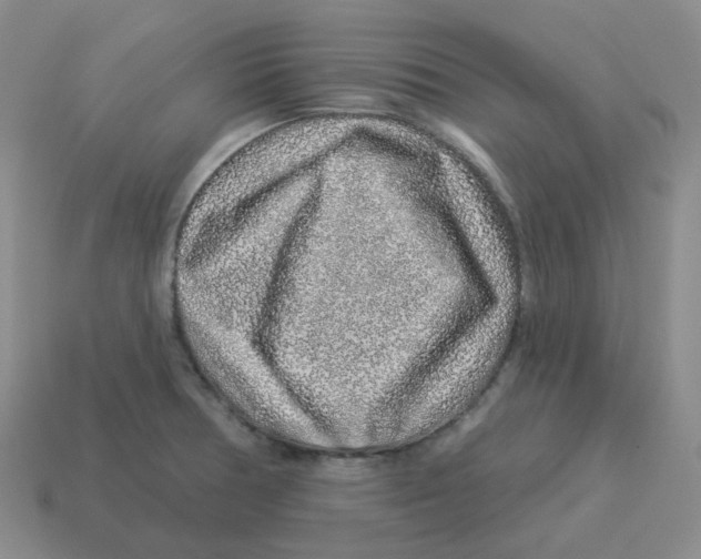 X0000114211378200911061436