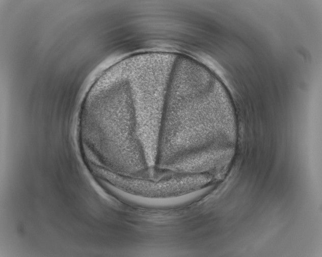 X0000114211379200911061436