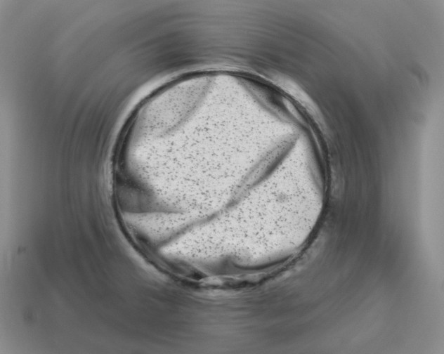 X0000114211380200911061436