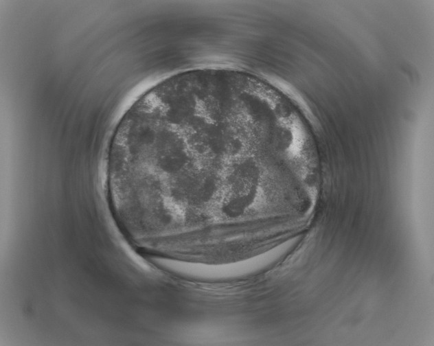 X0000114211383200911061436