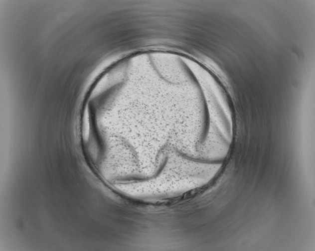 X0000114211384200911061436