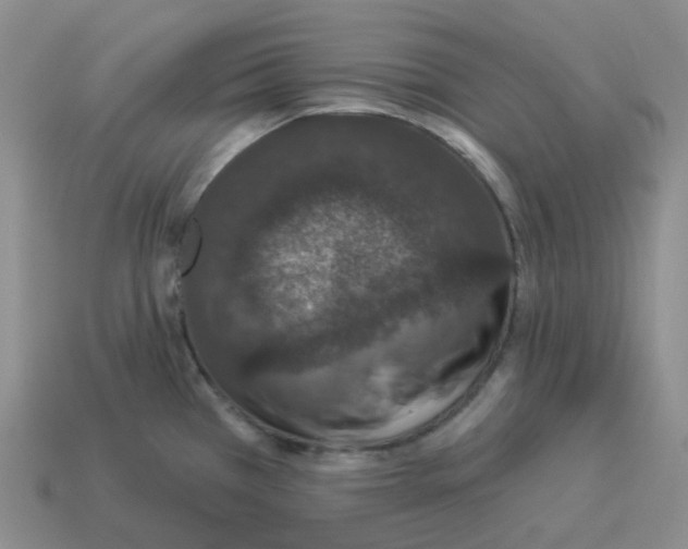 X0000114211385200911061436