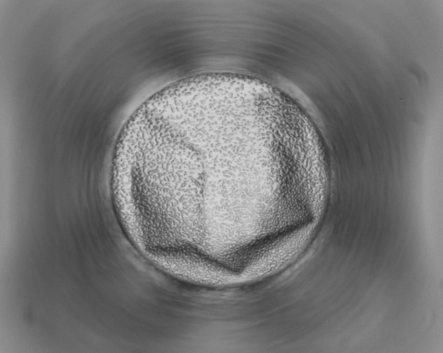 X0000114211386200911061436