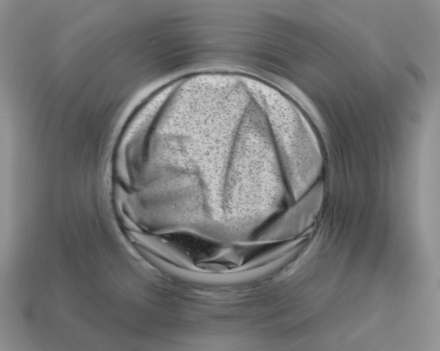 X0000114211388200911061436