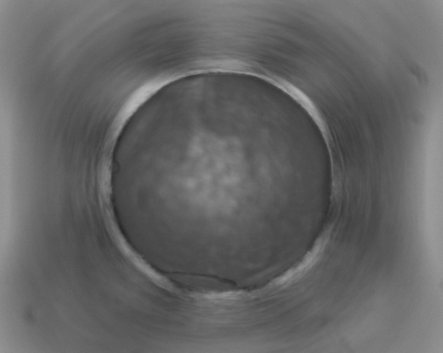 X0000114211389200911061436