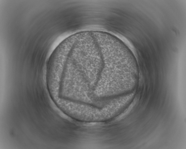 X0000114211390200911061436