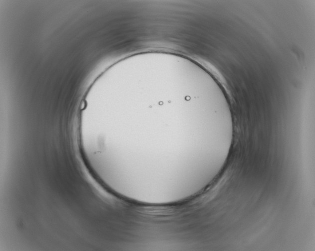 X0000114211391200911061436