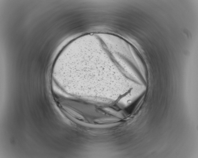 X0000114211392200911061436