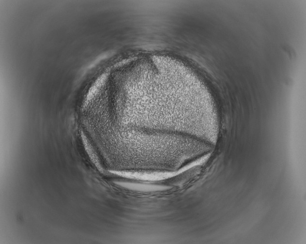 X0000114211398200911061435