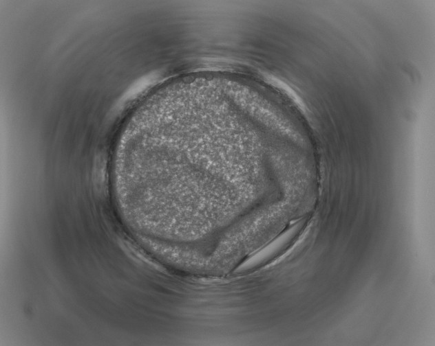 X0000114211403200911061435