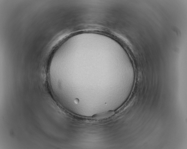 X0000114211407200911061435