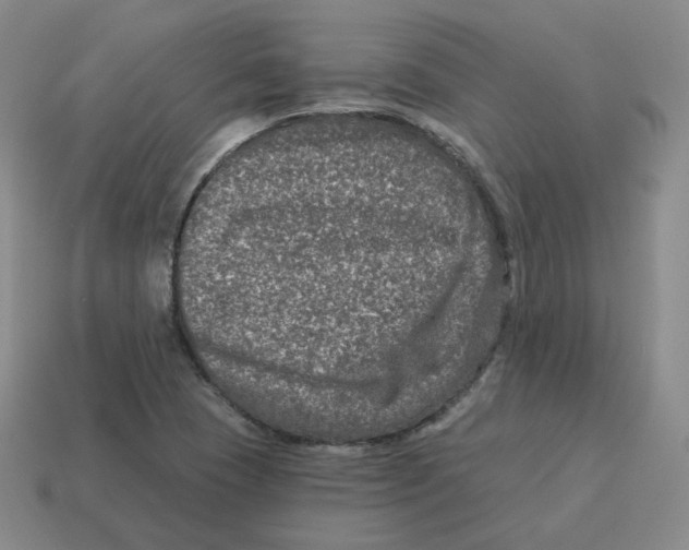 X0000114211409200911061435