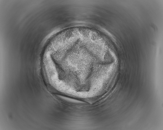 X0000114211411200911061435