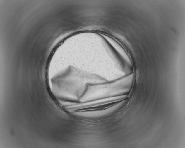 X0000114211412200911061435