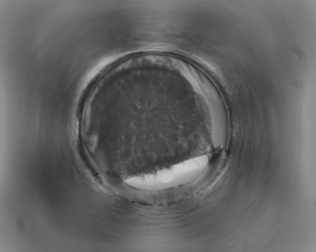 X0000114211414200911061435