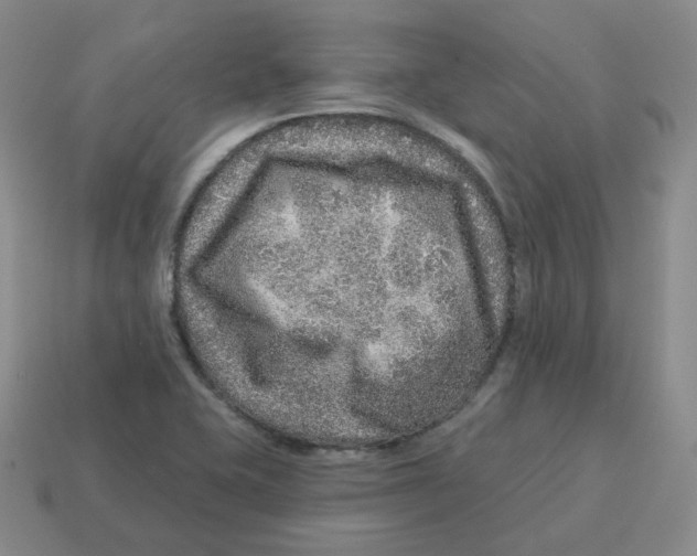 X0000114211415200911061435