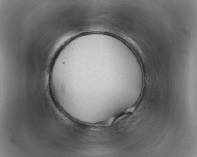 X0000114211416200911061435