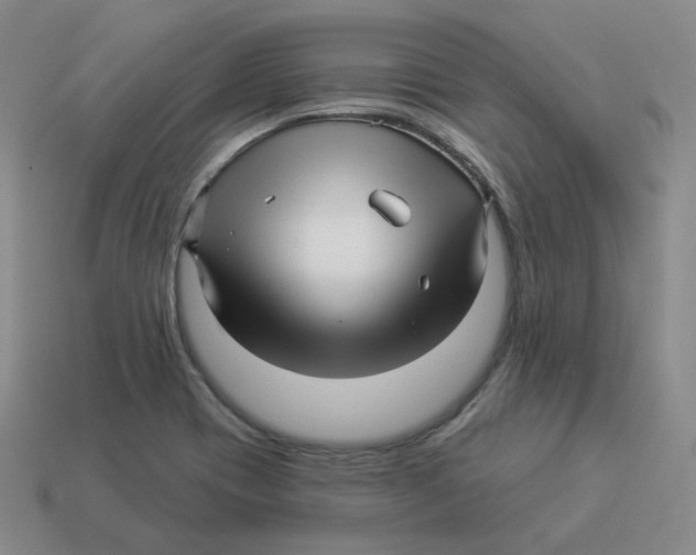 X0000114211417200911061435