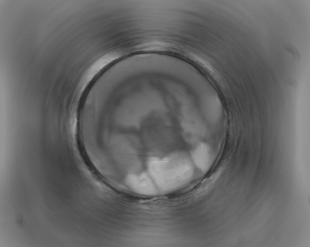 X0000114211418200911061435