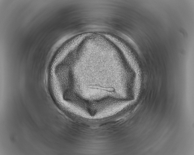 X0000114211419200911061435