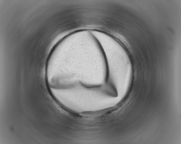 X0000114211420200911061436