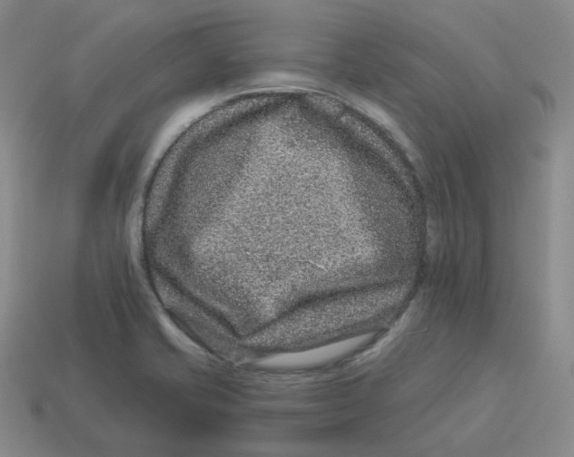 X0000114211421200911061436