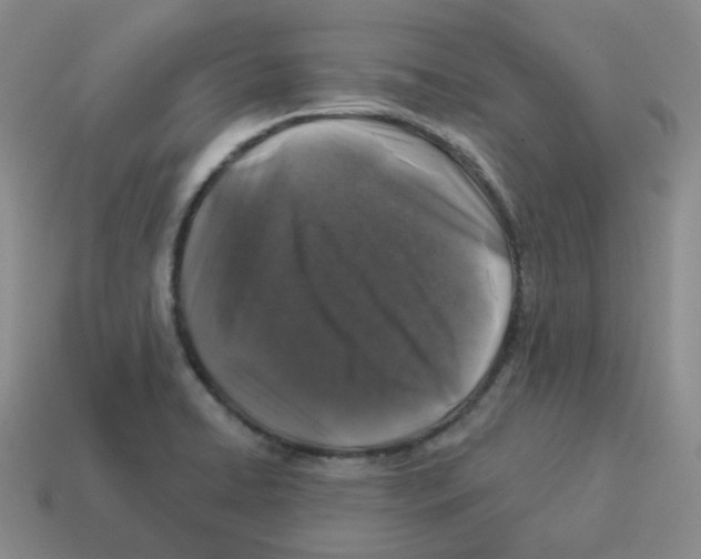 X0000114211422200911061436