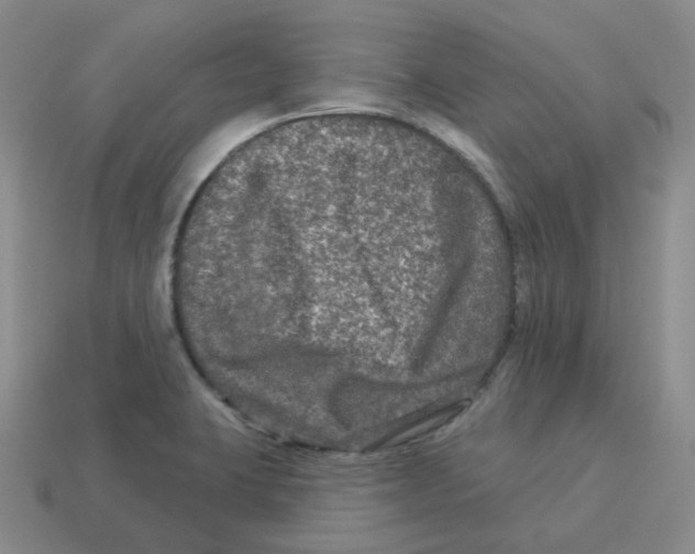 X0000114211423200911061436