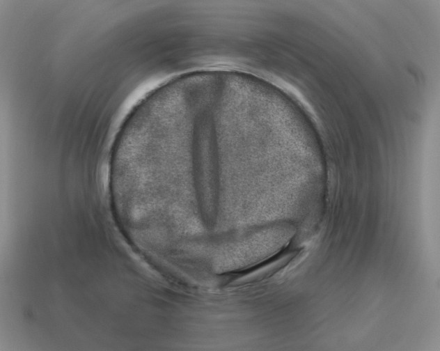 X0000114211424200911061436