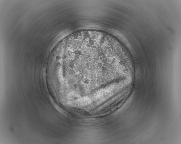 X0000114211425200911061436