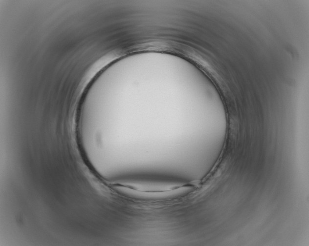 X0000114211426200911061436