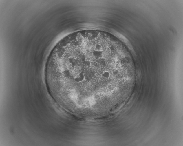 X0000114211427200911061436