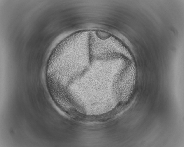 X0000114211429200911061436