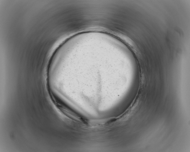 X0000114211430200911061436