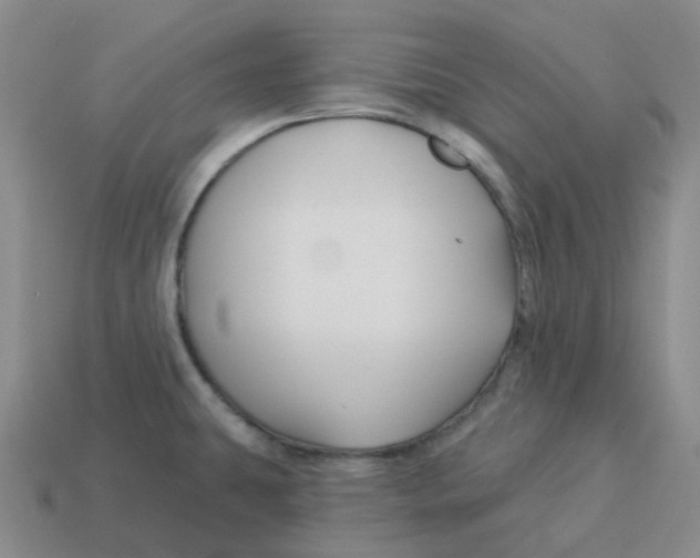 X0000114211431200911061436